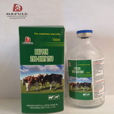 Injectable Dihydrostreptomycin Veterinary Sulphate Procain Penicillin For Pig Sheep