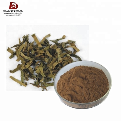 Folium Eriobotryae Veterinary Herbal Medicine , Loquat Leaf Extract Relieve Cough
