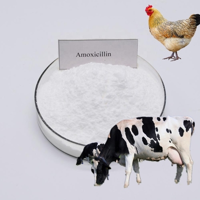 Animal Diflucloxacin Hydrochloride 5% Veterinary Poultry Medicine