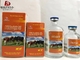 Metamizole Sodium Veterinary Injectable Drugs Analgin 50% Pharmaceutical Antibacterial