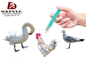 Intermediate Poultry Vaccine Avian Infiuenza Inactivated Fowl Animal Applied