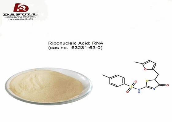 Ribonucleic Rna Medicine Acid Stimulating Metabolism Bio Extract Light Yellow Powder