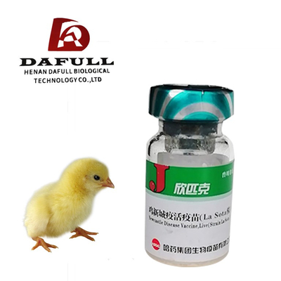Chicken Inactivated Combined Newcastle Disease And Egg Drop Syndrome Vaccine