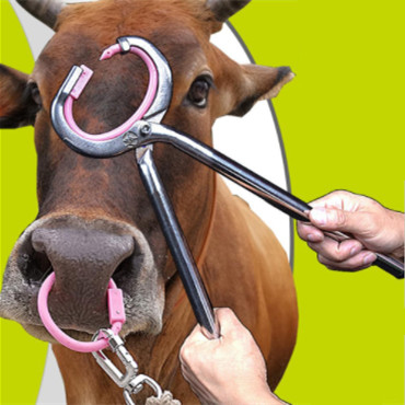 Farm Equipment Stainless Steel Scissors Nose Forceps Hoof Trimming Tools